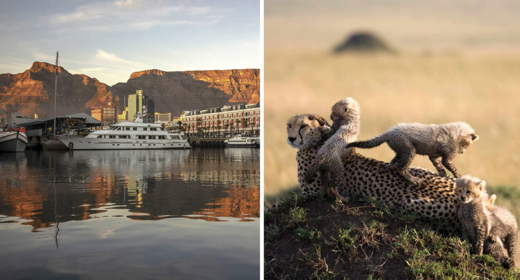 A boat on the water with red rock formations in background (left) and two cheetah cubs and parent playing on a rock in the savannah (right)